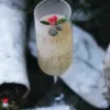 Комбуча Сенсио през студените дни