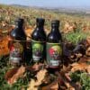 Kombucha Sensio през есента