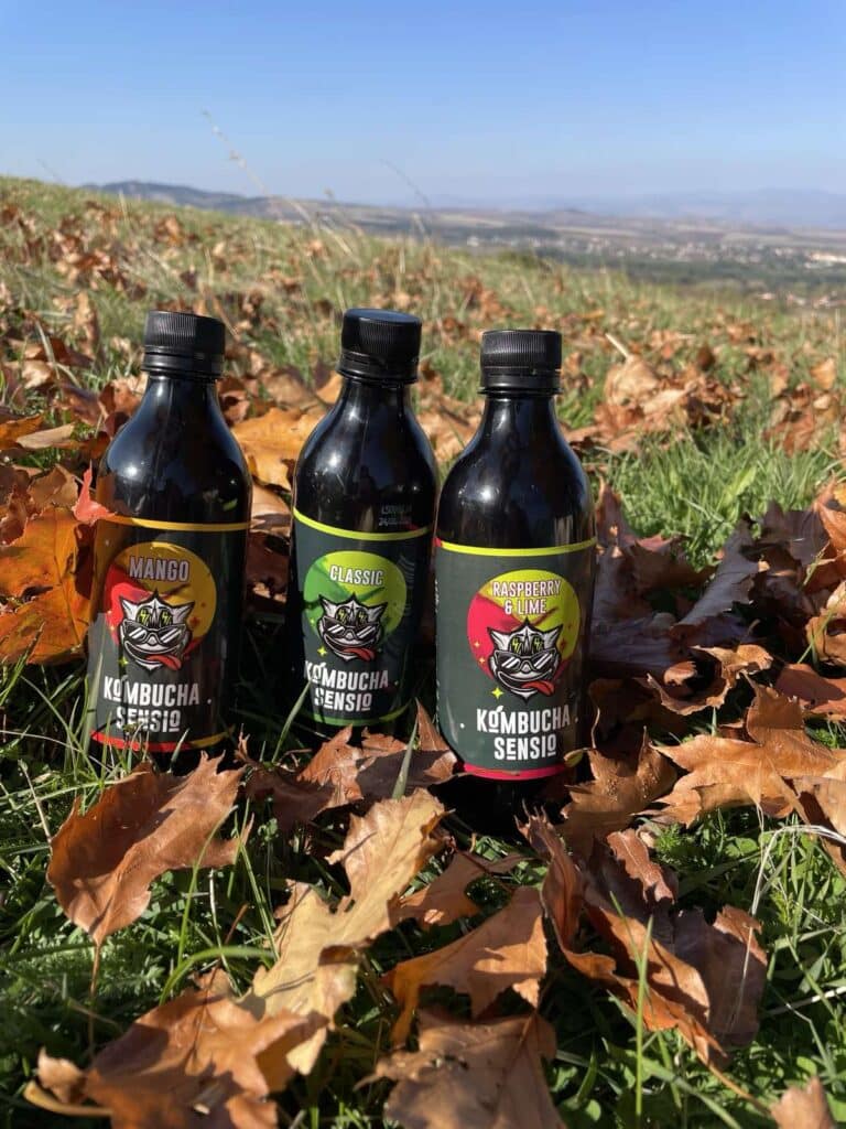 Kombucha Sensio през есента
