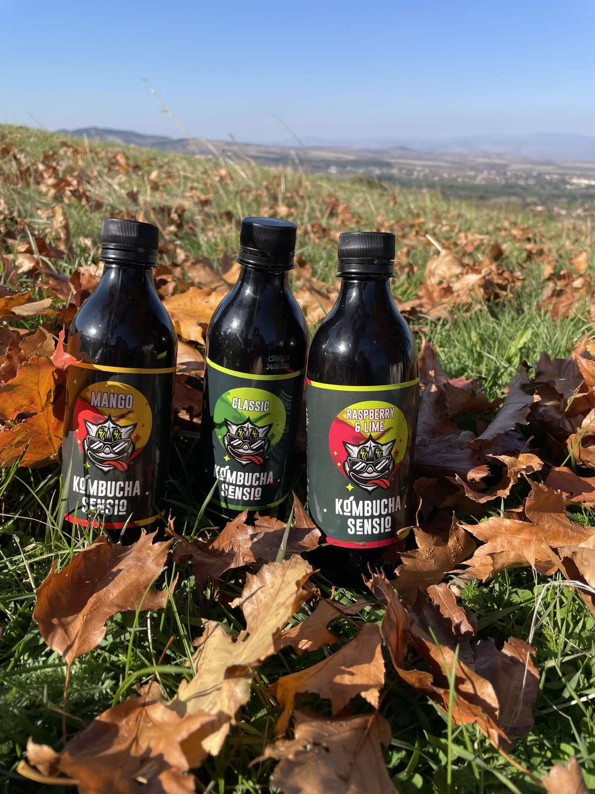 Kombucha Sensio през есента