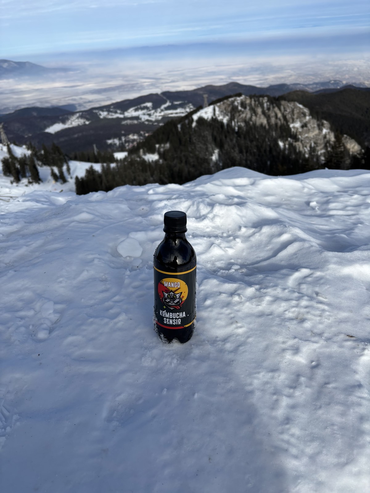 Kombucha Sensio през зимата